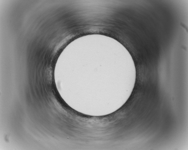 X0000103480016200810101010