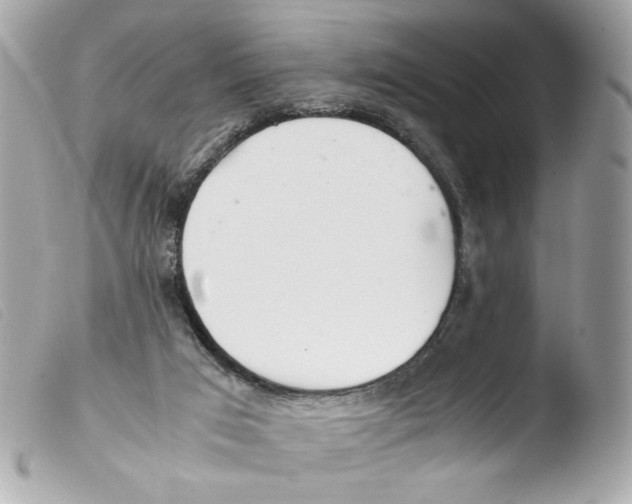 X0000103480017200810101009