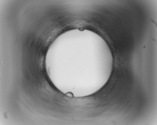 X0000103480018200810101009