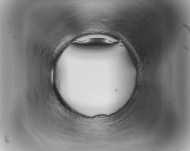 X0000103480019200810101009