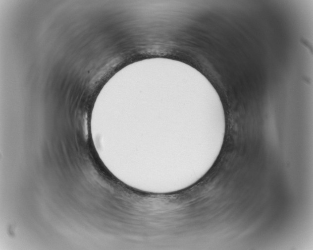 X0000103480020200810101009
