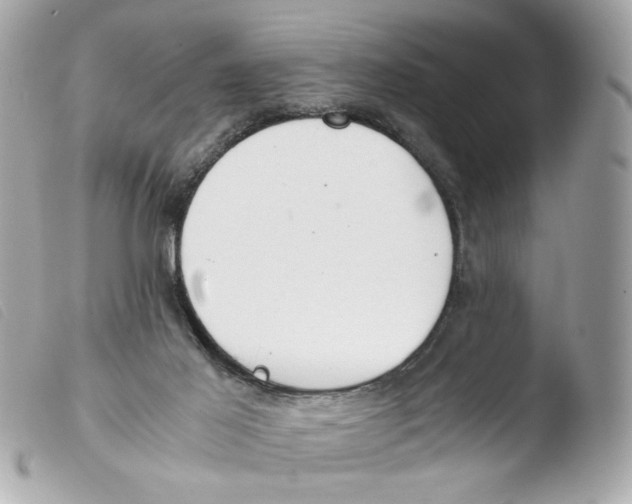 X0000103480021200810101009