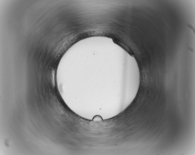 X0000103480022200810101009