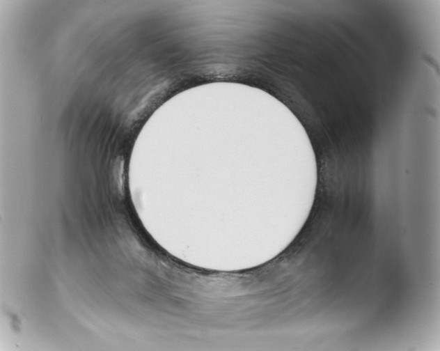X0000103480024200810101009