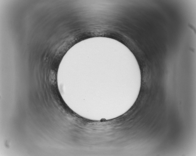 X0000103480025200810101009