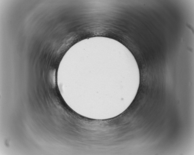 X0000103480028200810101009