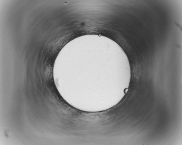 X0000103480029200810101009