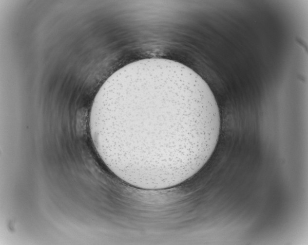 X0000103480030200810101009