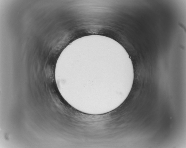 X0000103480031200810101009