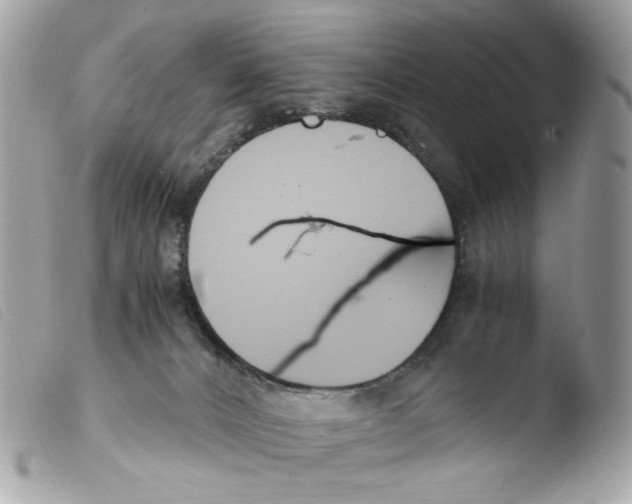 X0000103480032200810101009