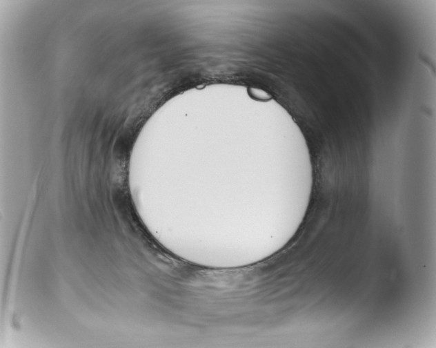X0000103480033200810101009