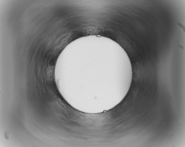 X0000103480034200810101009
