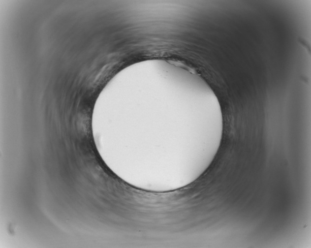 X0000103480035200810101009