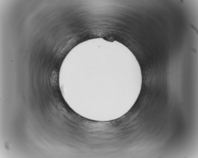 X0000103480036200810101009