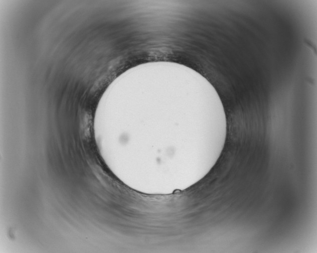 X0000103480038200810101009