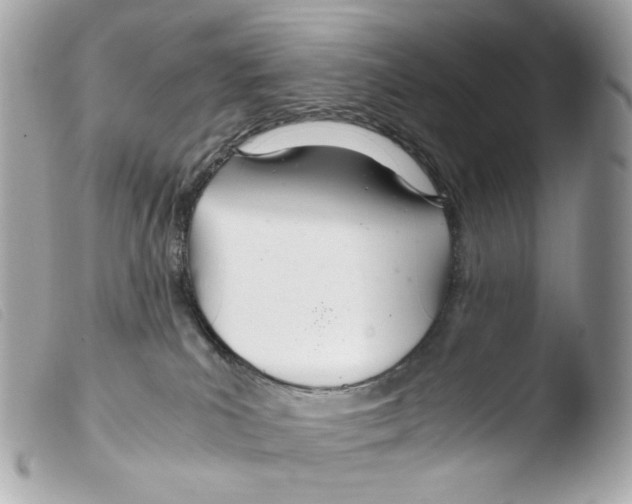 X0000103480039200810101009