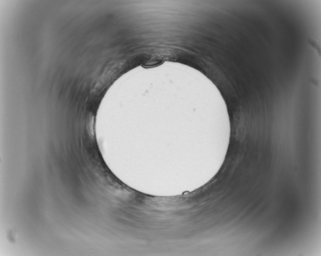 X0000103480041200810101009
