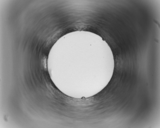 X0000103480042200810101009