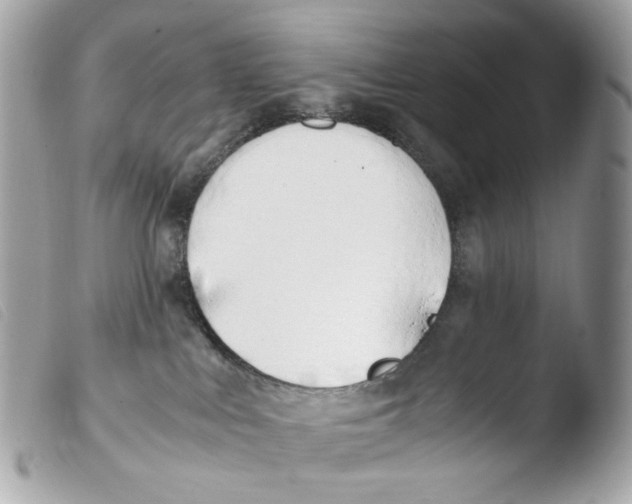 X0000103480043200810101009