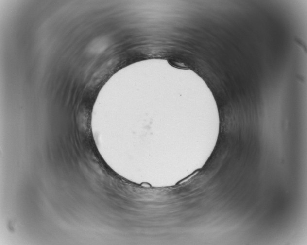 X0000103480044200810101009