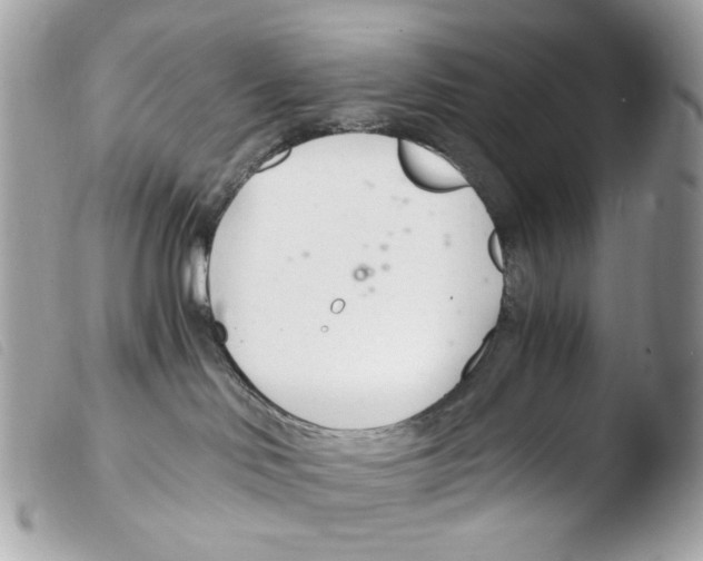 X0000103480046200810101009