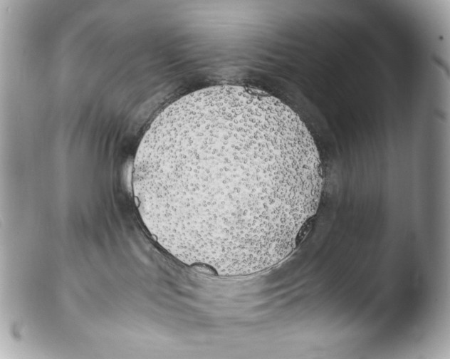 X0000103480047200810101009