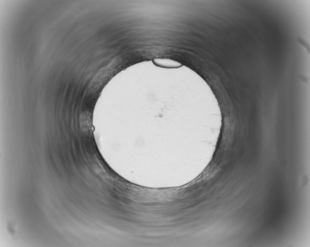 X0000103480048200810101009