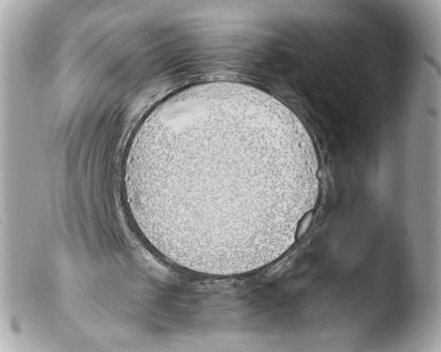 X0000103480049200810101008