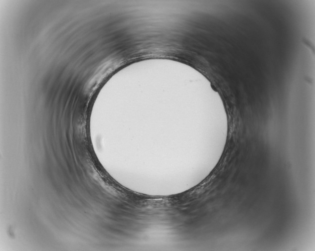 X0000103480050200810101008