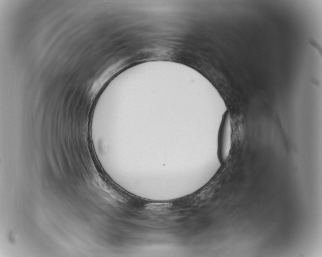 X0000103480051200810101008