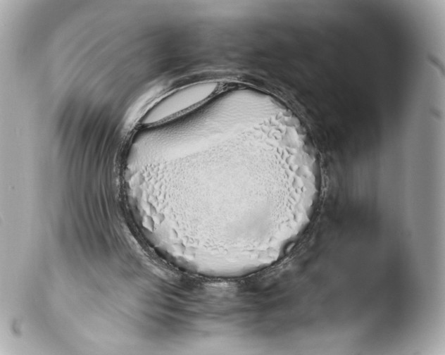 X0000103480053200810101008