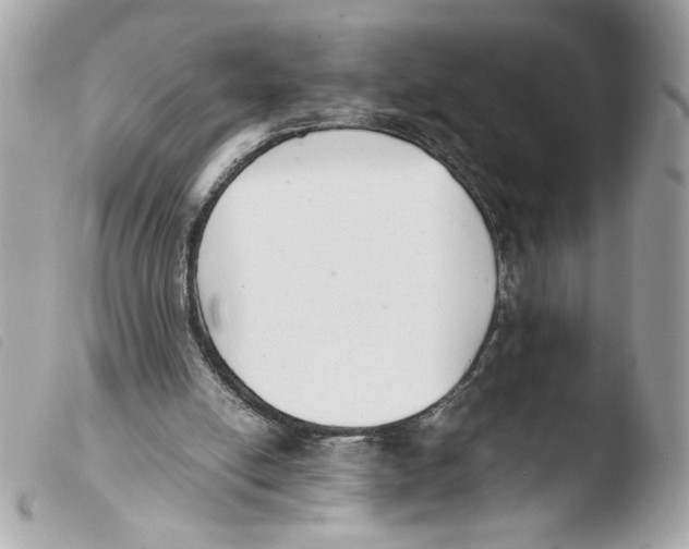 X0000103480054200810101008