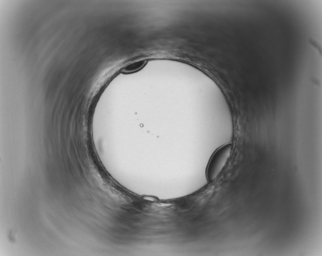 X0000103480055200810101008
