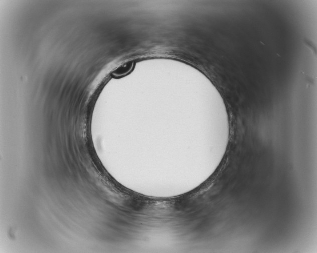 X0000103480056200810101008