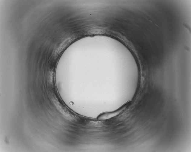 X0000103480057200810101009