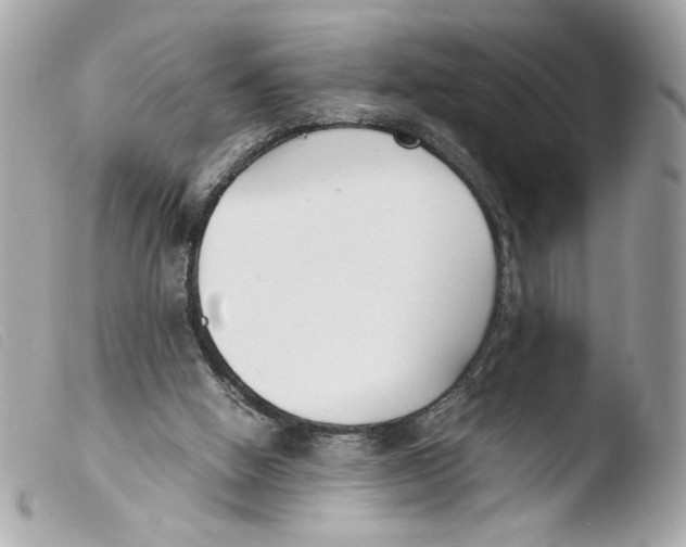 X0000103480058200810101009