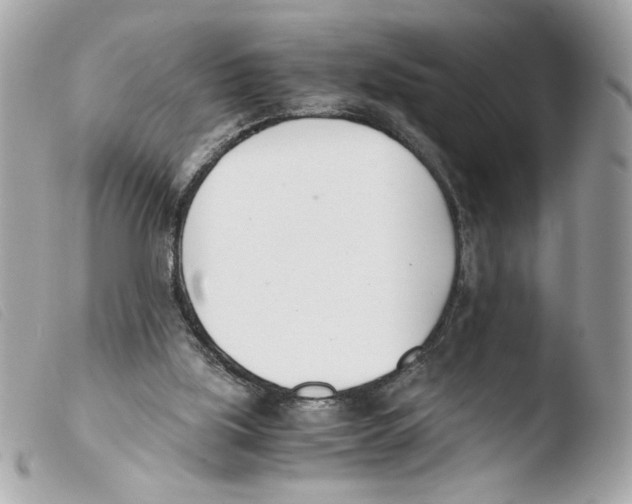 X0000103480059200810101009