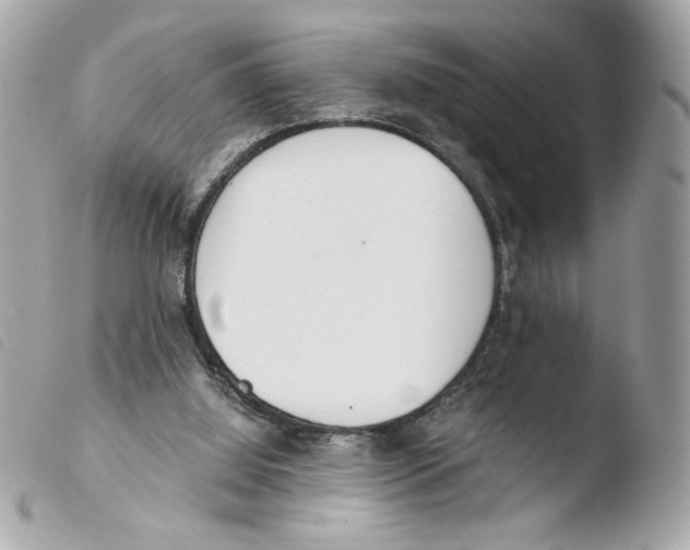X0000103480060200810101009
