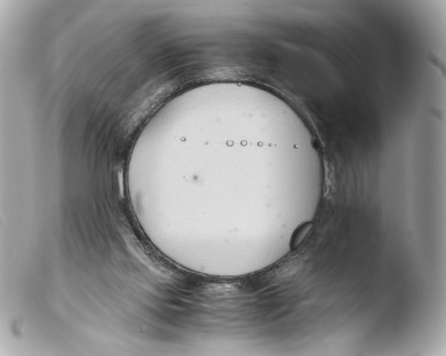 X0000103480061200810101009