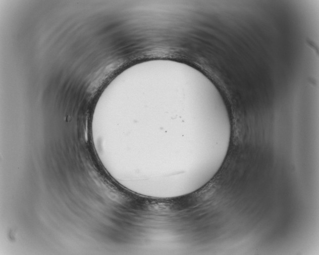 X0000103480062200810101009