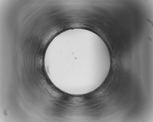 X0000103480063200810101009
