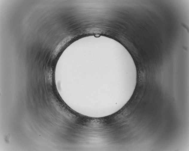 X0000103480064200810101009