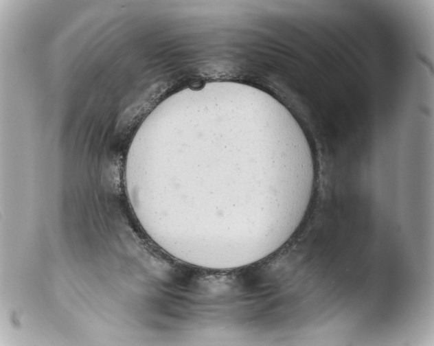 X0000103480065200810101009
