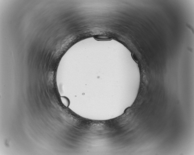 X0000103480066200810101009