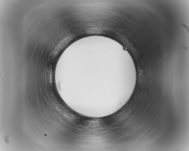 X0000103480068200810101009