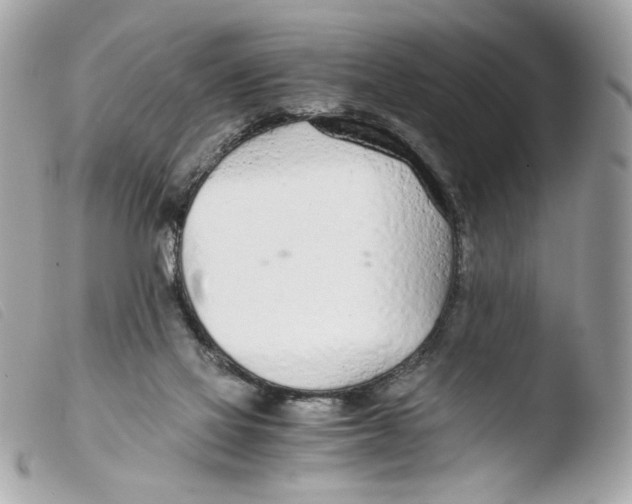 X0000103480069200810101009