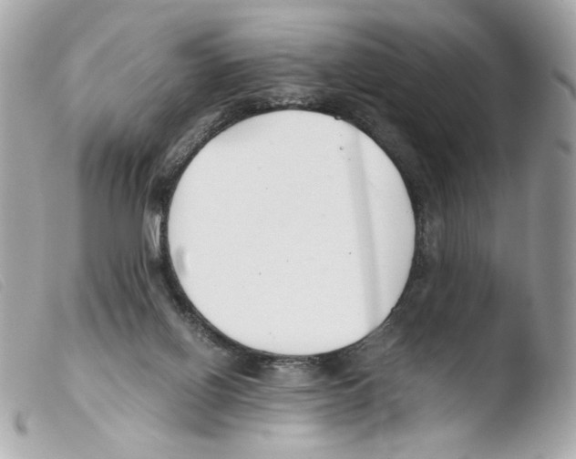 X0000103480070200810101009