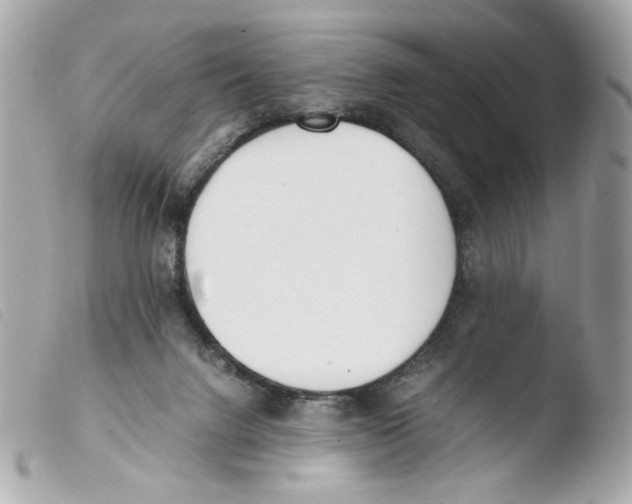 X0000103480072200810101009