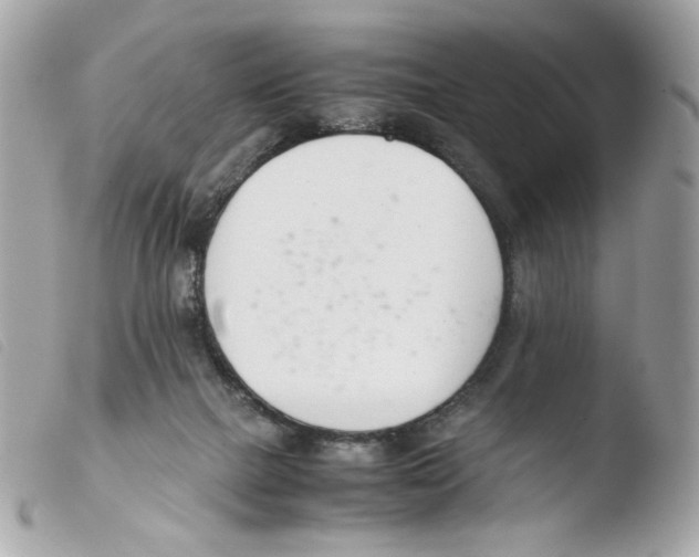 X0000103480073200810101009
