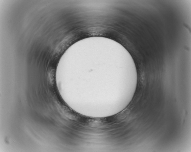 X0000103480074200810101009